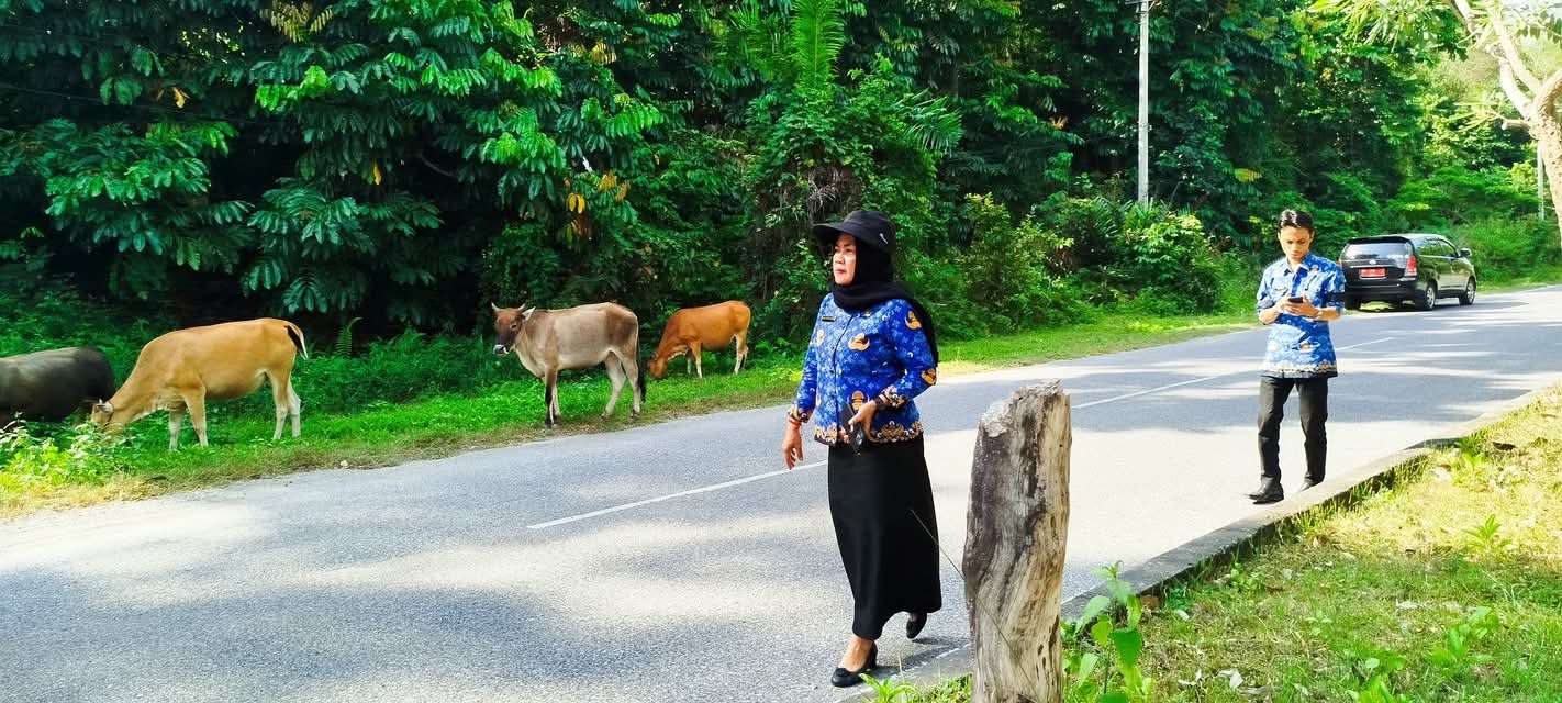 Kepala Dinas DPK3 Kota Sawahlunto Heni Purwaningsih turun lapangan lakukan penertiban hewan ternak di kawasan wisata Kandi Sawahlunto